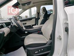 جيتور داشينج